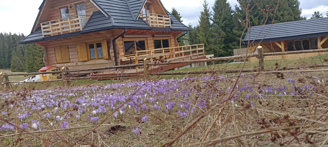 Villa Gosciniec Dziubasowki Neumarkt Exterior foto